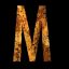 User profile photo for MI player DerekM sharing casino free bonus strategy insight